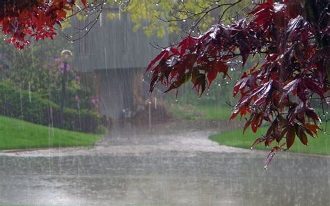 落雨